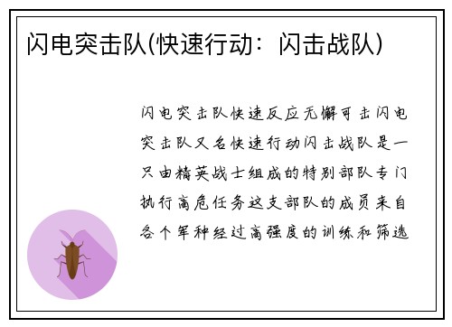 闪电突击队(快速行动：闪击战队)